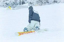 メインビジュアル画像