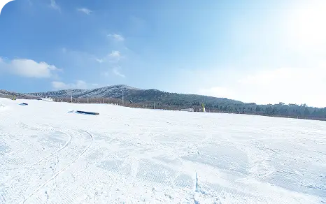 ゲレンデ・気象情報